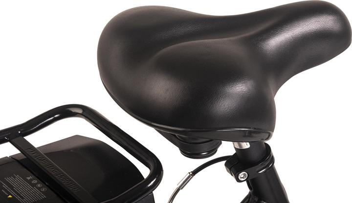 Produktbild Hollandia E-Citybike Damen E-Active 28" E-Bike 6 Gänge (50 cm)