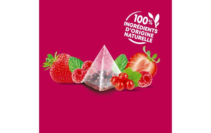 Image du produit Elephant Infusion Fruits Rouges (48 g)