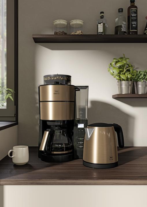 Produktbild Melitta AromaFresh 1021-04, kupfer