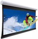 Actual product image Projecta Elpro Concept Wide Format - Canvas - ceiling mounting possible, suitable for wall m (107", 16:10)