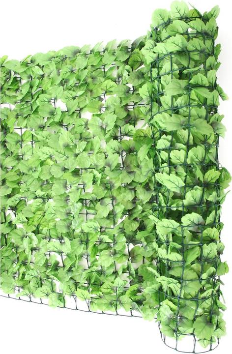 Leaf light green
