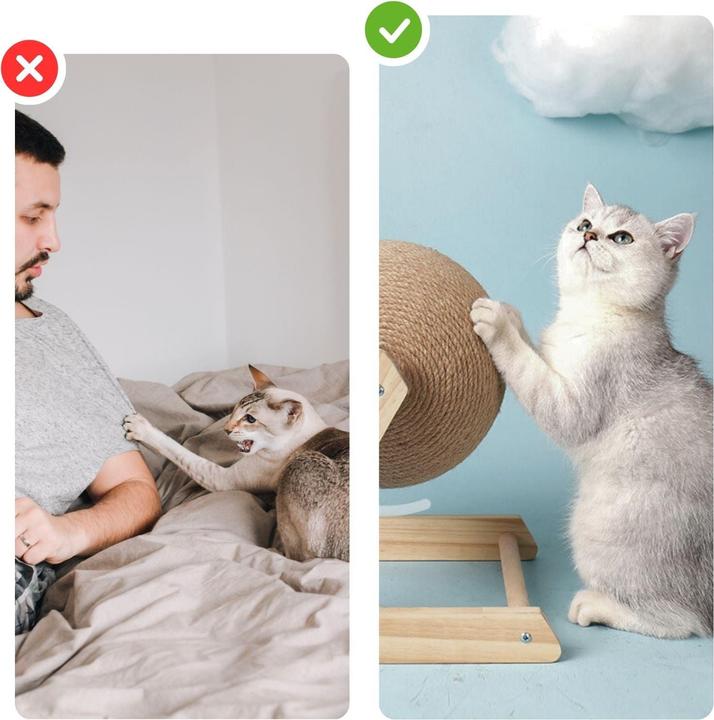 Produktbild Hermex Kratzball für Katzen Kratzspielzeug Katzenball Kratzkugel Katzenspielzeug (Kratzspielzeug Katze)