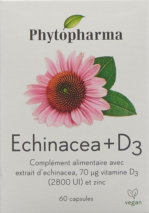 Produktbild Phytopharma Echinacea + Vitamin D3 (60 Stück, Kapseln, 63 g)