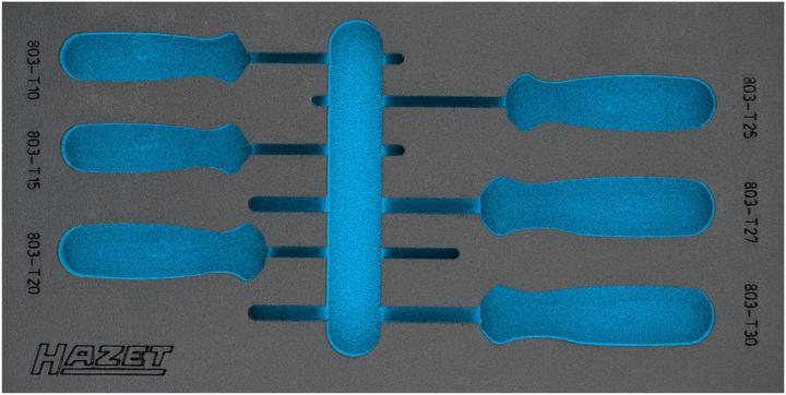 Actual product image HAZET Soft Foam Insert (1 x)