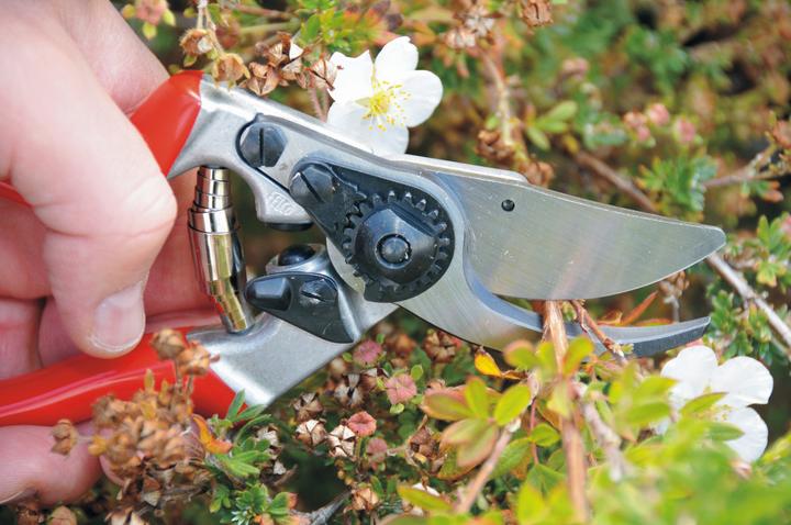 Image du produit Felco 9