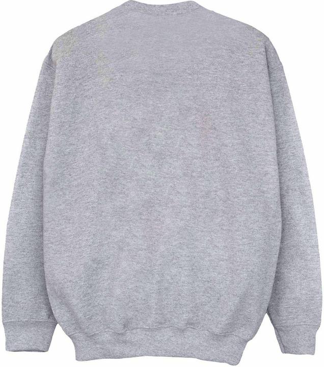 Actual product image Winnie the Pooh Classic sweatshirt girls (128)