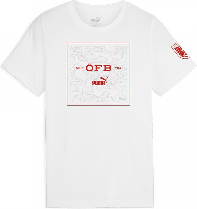 Produktbild Puma ÖFB Ftblicons Tee Jr (176)