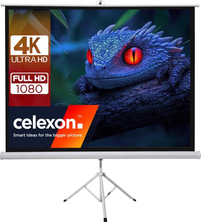 Produktbild Celexon basic mobile Beamer-Stativ-Leinwand in wenigen Minuten Auf-/Abgebaut - optimal für Heimkino (200", 1:1)