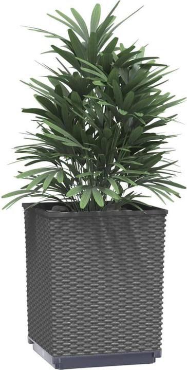 Image du produit VidaXL Thorben