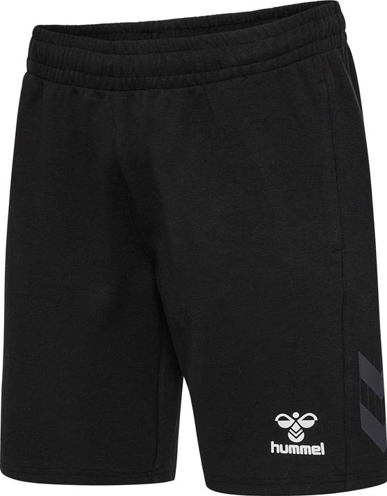 Image du produit hummel Hmltravel Shorts (L)