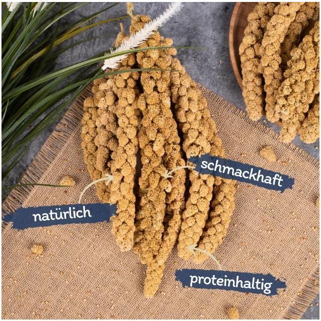 Actual product image Lyra Pet Foxtail millet (1 x, 1 kg)