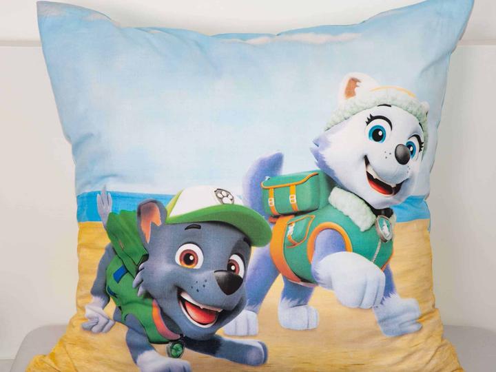 Image du produit Herding Paw Patrol