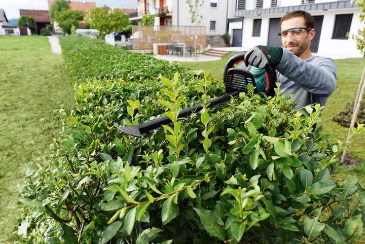 Actual product image Bosch Home & Garden Ahs 55-20 Li (Cordless hedgecutters)