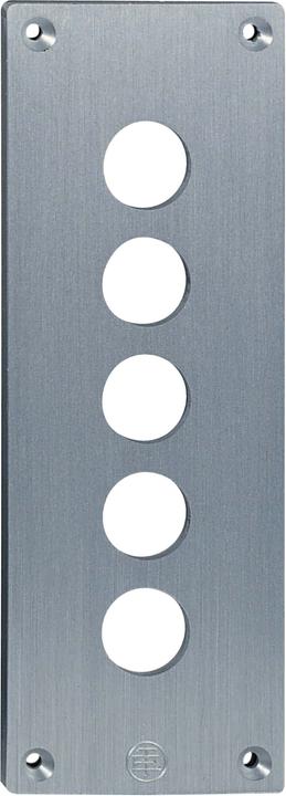 Actual product image Schneider Electric Pushbutton Flush Plate 22mm Xap +Options