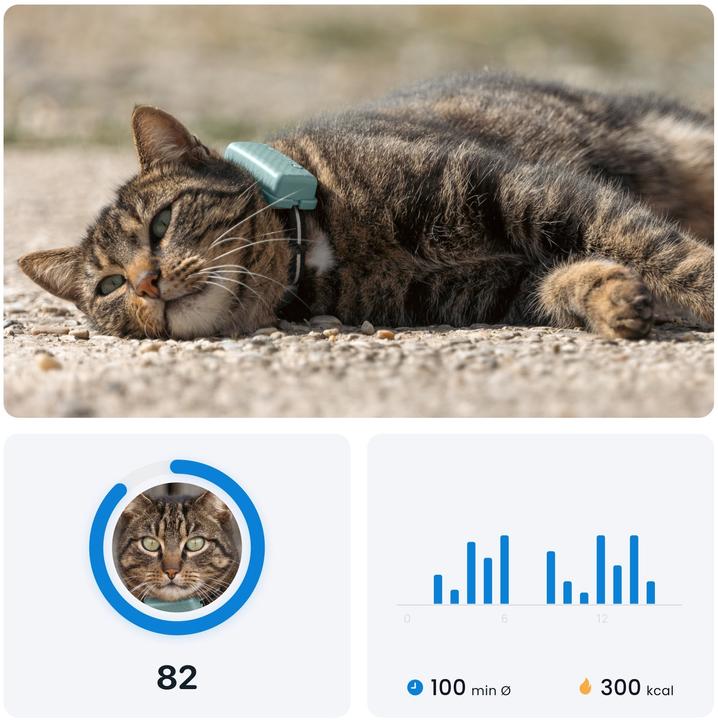 Productafbeelding Tractive GPS CAT Mini - mint (Eén maat voor iedereen, Kat, Algemeen)