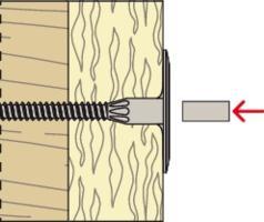 Actual product image Fischer Retaining plate with screw DHT S 30 W (500 pcs.)