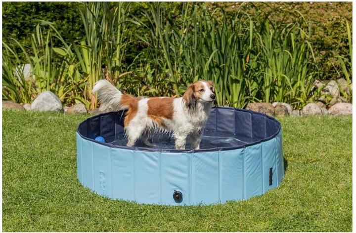 Actual product image Trixie Dog pool, 120 x 30 cm, light blue (Dog pool)