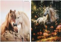 Immagine prodotto Starpak cartella con gomma da cancellare a4 stamina di cav (A4)
