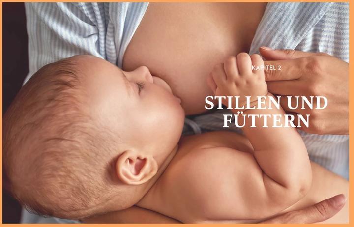 Image du produit Das grosse Buch für Babys erstes Jahr (Allemand, Stephan Heinrich Nolte, Annette Nolden, 2023)