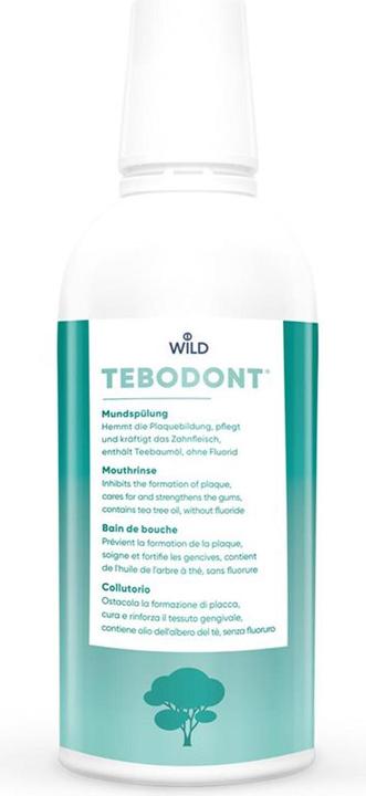 Tebodont Mouthwash (500 ml, Mouthwash)