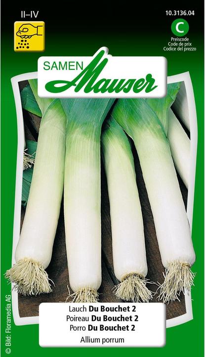 Produktbild Samen Mauser Lauch Du Bouchet 2 (Blumenzwiebel)