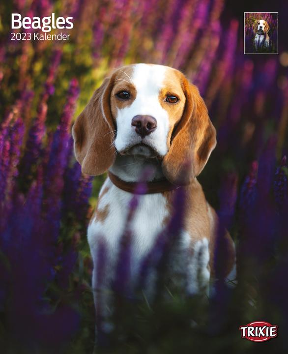 Actual product image Trixie Baby Calendar beagles