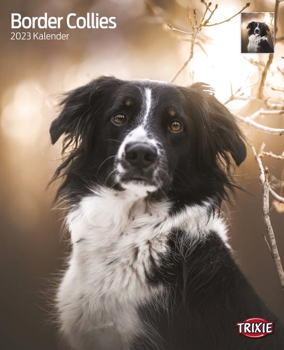 Trixie Baby Calendar Border Collies