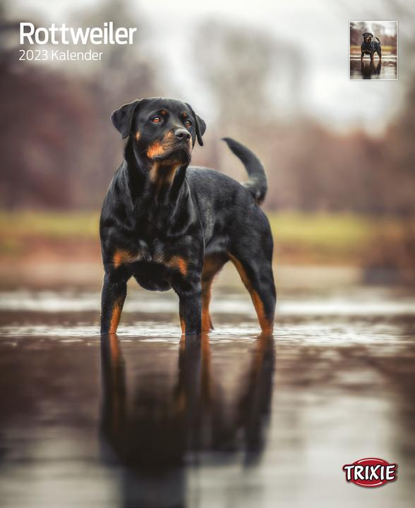 Actual product image Trixie Baby Calendar Rottweiler