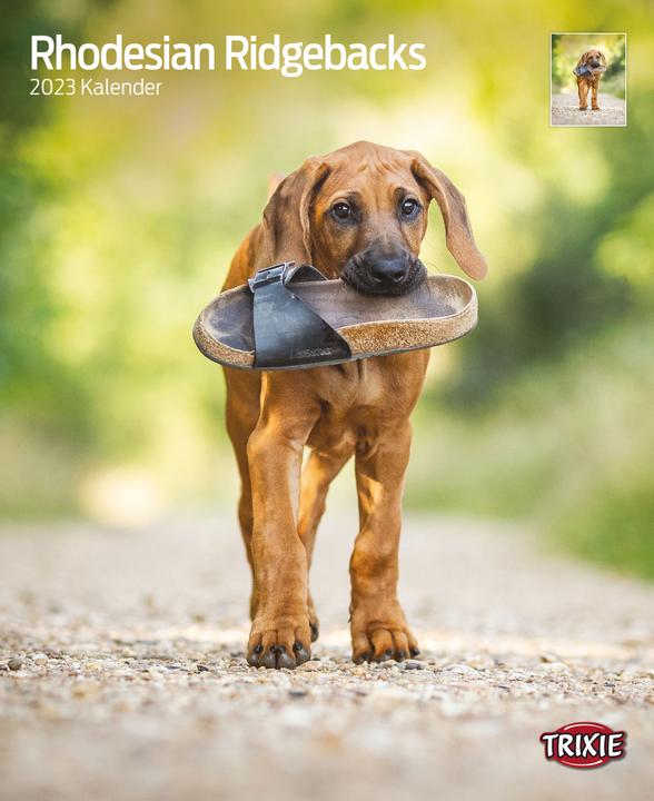 Actual product image Trixie Baby Calendar Rhodesian Ridgebacks