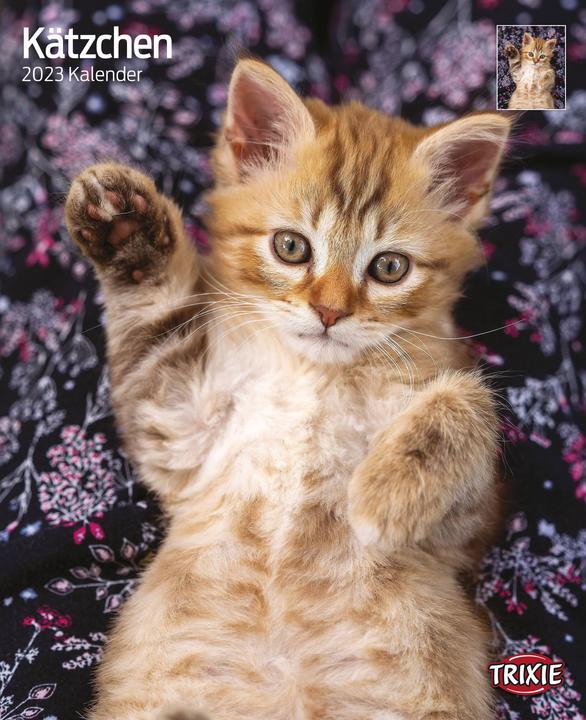 Actual product image Trixie Baby Calendar kittens