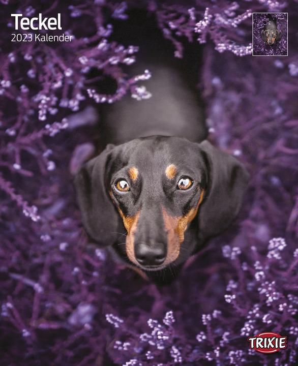 Produktbild Trixie Baby Kalender Teckel