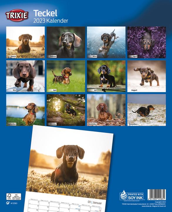 Produktbild Trixie Baby Kalender Teckel