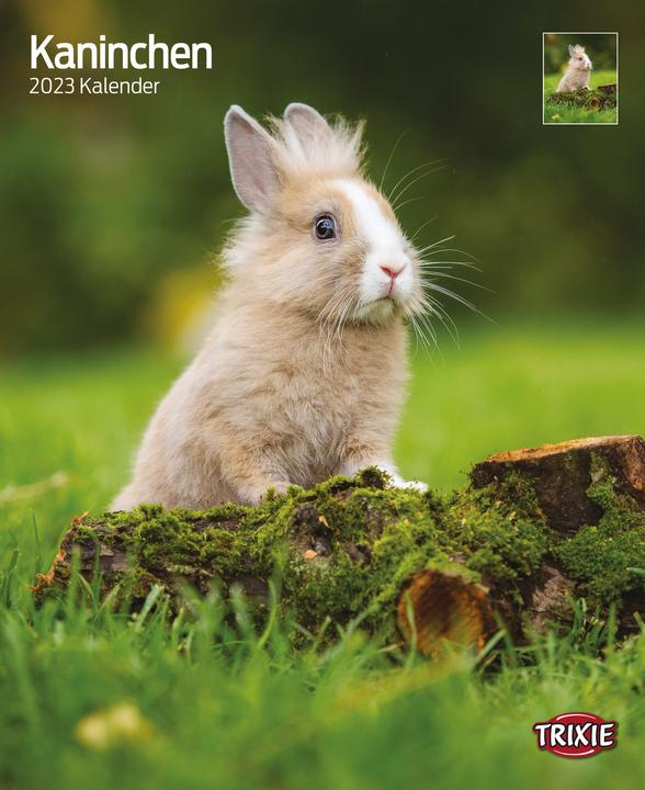 Produktbild Trixie Baby Kalender Kaninchen