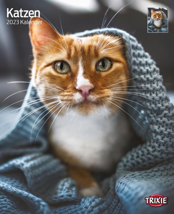 Trixie Baby Kalender Katzen