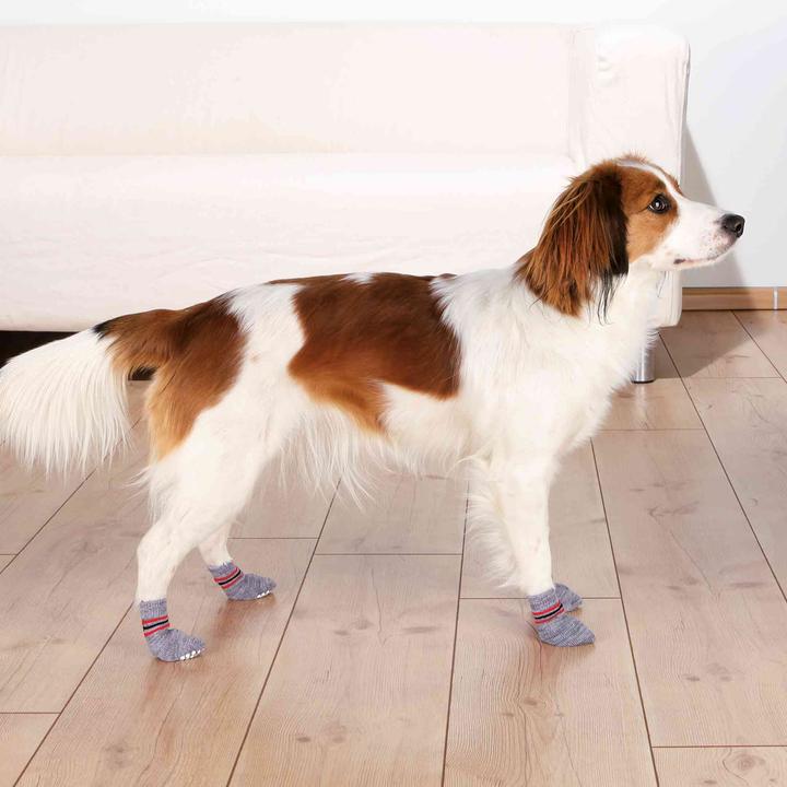 Immagine prodotto Trixie Hundesocken (XXS, Calzini per cani)