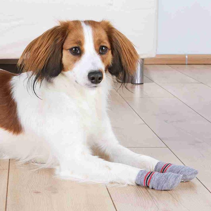 Immagine prodotto Trixie Hundesocken (XXS, Calzini per cani)