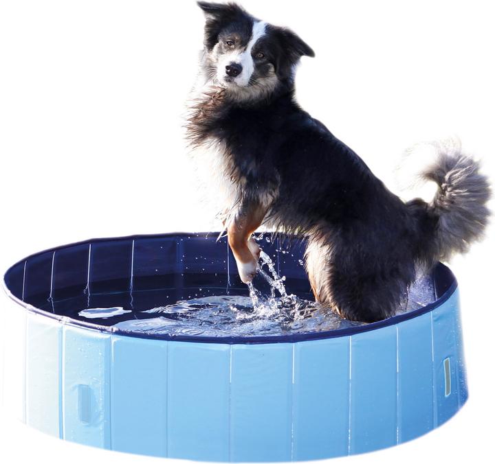 Produktbild Trixie Hundepool (Hundepool)