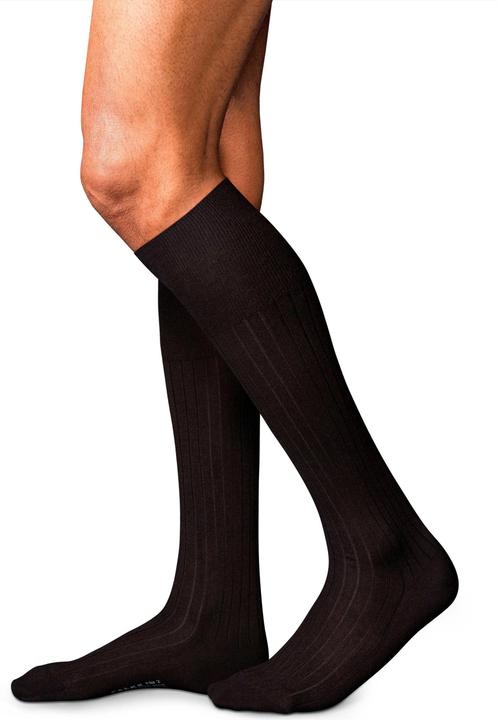Falke No. 2 KH