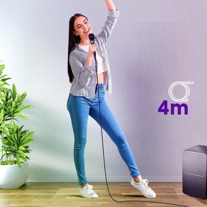 Immagine prodotto Bigben Microfono per karaoke, con cavo