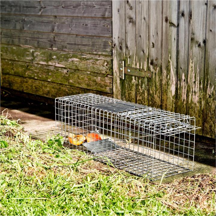 Actual product image Windhager Marten Traps