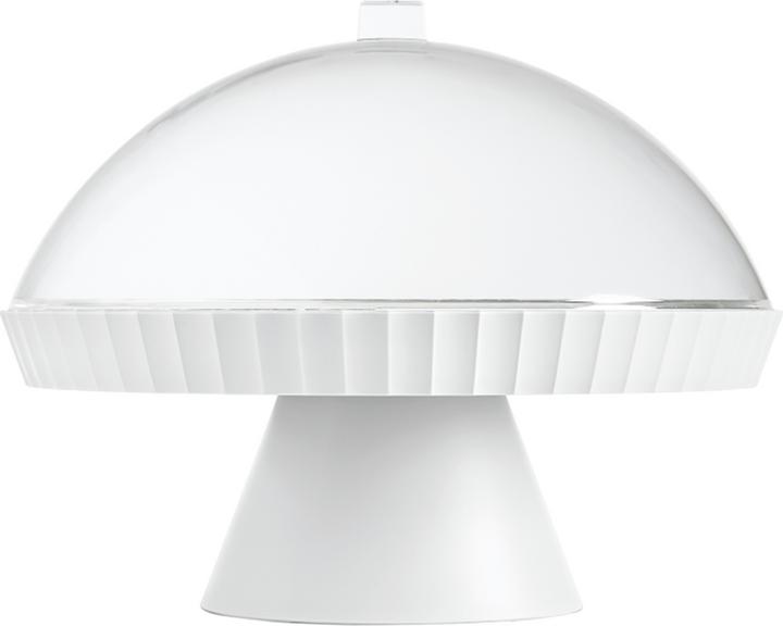Arctic White