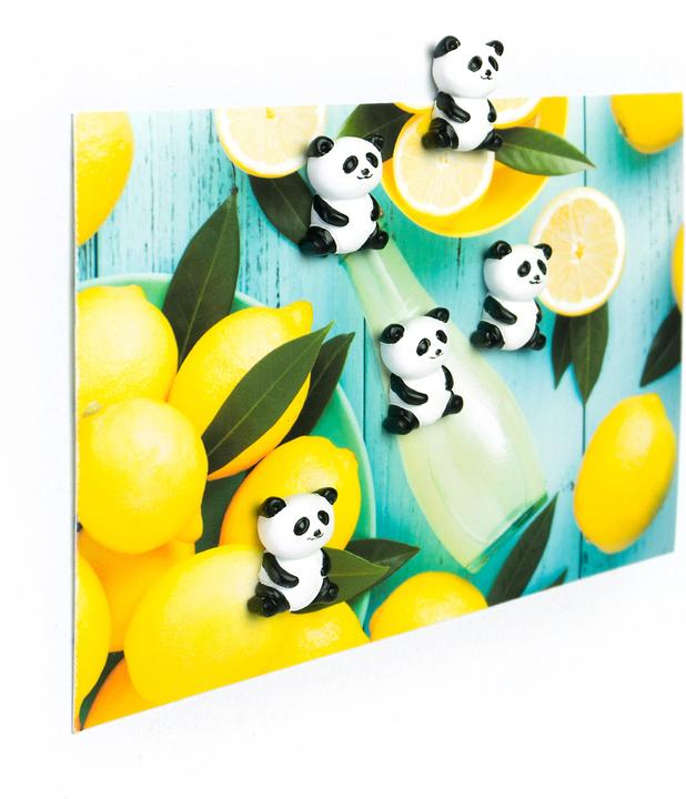 Image du produit Trendform Panda (5 x)