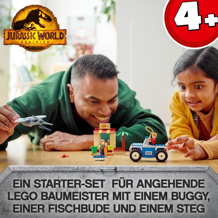 Productafbeelding LEGO Pteranodon jagen (76943, LEGO Jurassic World)