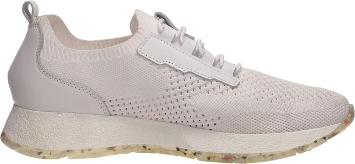 Produktbild Salamander Sneaker (42)