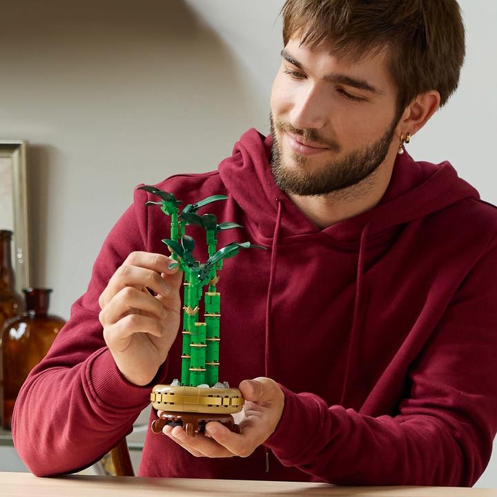Image du produit LEGO Glücks-Bambus (10344, LEGO Icons)