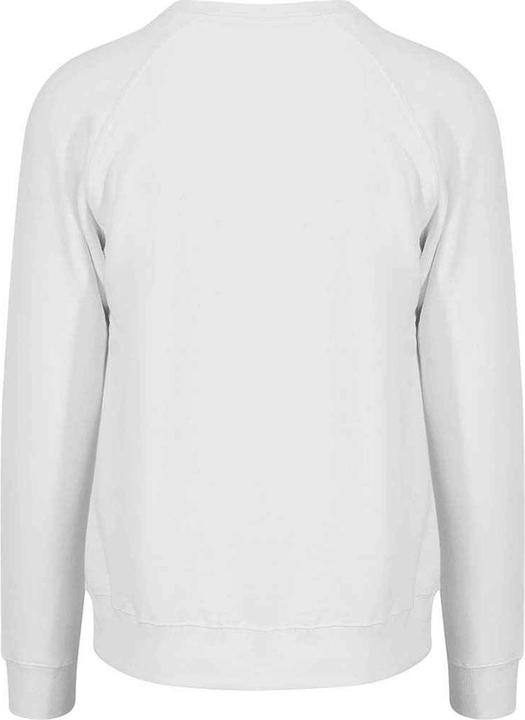 Actual product image Awdis Mens Graduate Heavyweight Sweatshirt (S)