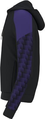 Image du produit Erima Sweat à capuche Evo Star (3XL)