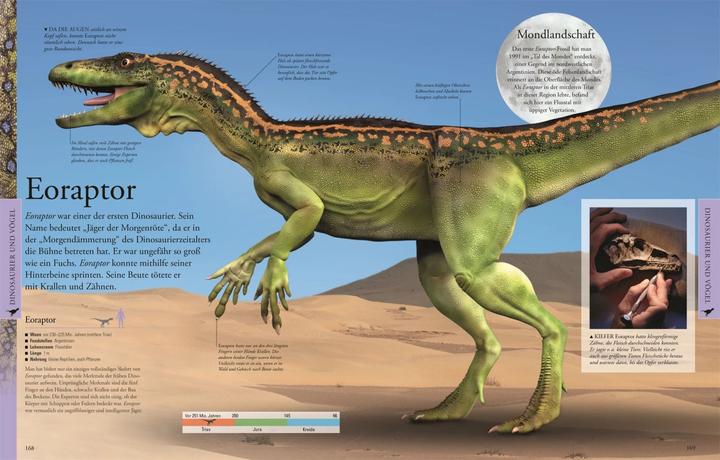 Actual product image Dinosaurier und andere Tiere der Urzeit für clevere Kids (German, DK Verlag - Kids, 2019)