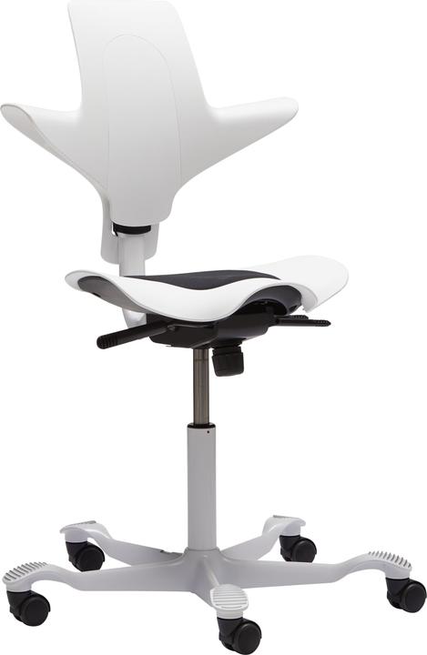 Image du produit HAG Capisco Puls 8010