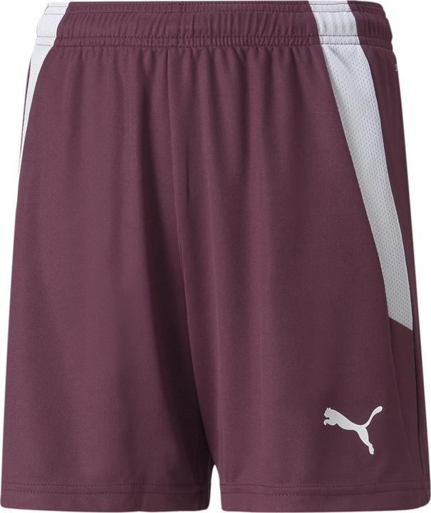 Image du produit Puma short teamLIGA Jr-704931 (176)